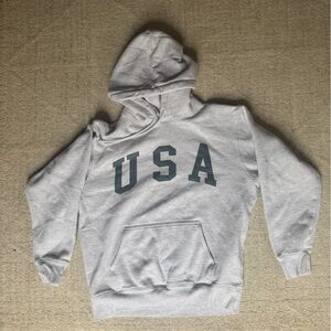 Gray USA brandy Melville hoodie